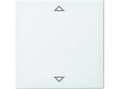 Miniatyrbilde 3 av 3: Busch-Jaeger 2CKA006430A0403 Dekkplate for sensorholder og sokkel Hvit (2CKA006430A0403)