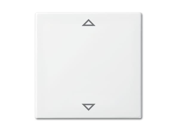 Busch-Jaeger 2CKA006430A0403 Dekkplate for sensorholder og sokkel Hvit (2CKA006430A0403)