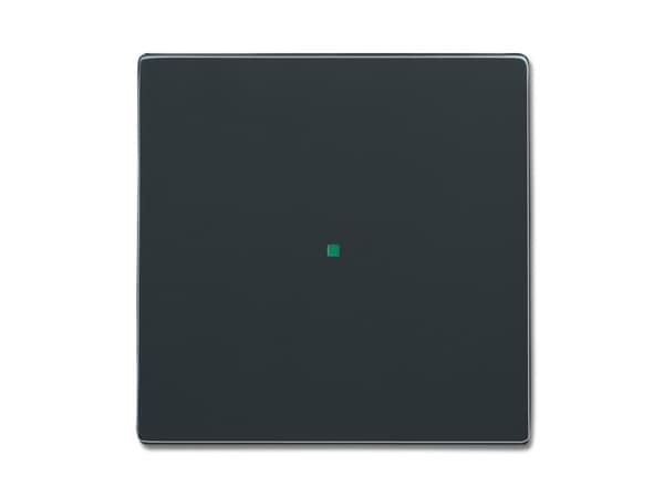 Busch-Jaeger 2CKA006220A0032, Antrasitt, Busch-free@home