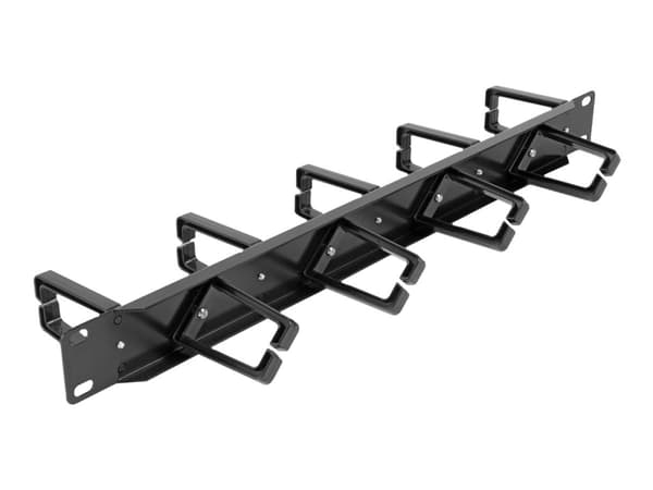 Delock - Rack cable management routing panel - both sides with 9 hooks (5 x vertical, 4 x 45° inclined) - svart - 1U - 19"