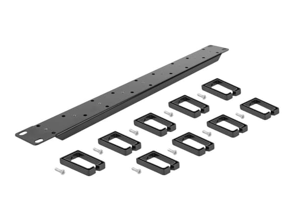 Delock - Rack cable management routing panel - both sides with 9 hooks (5 x vertical, 4 x 45° inclined) - svart - 1U - 19"