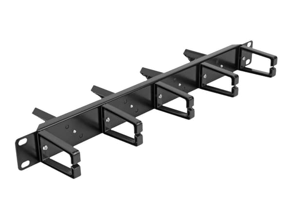 Delock - Rack cable management routing panel - both sides with 9 hooks (5 x vertical, 4 x 45° inclined) - svart - 1U - 19"