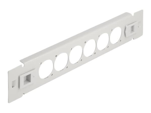 Delock - Pluggbord (blankt) - D-type - rackmonterbar - grå - 1U - 10" - 6 porter