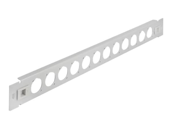 Delock - Pluggbord (blankt) - D-type, tool free - rackmonterbar - grå - 1U - 19" - 12 porter