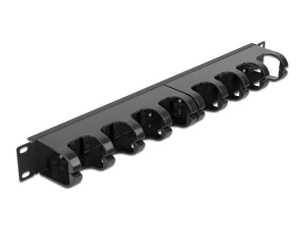 Delock - Rack cable management routing panel - with 10 closed cable routings - svart - 1U - 19"