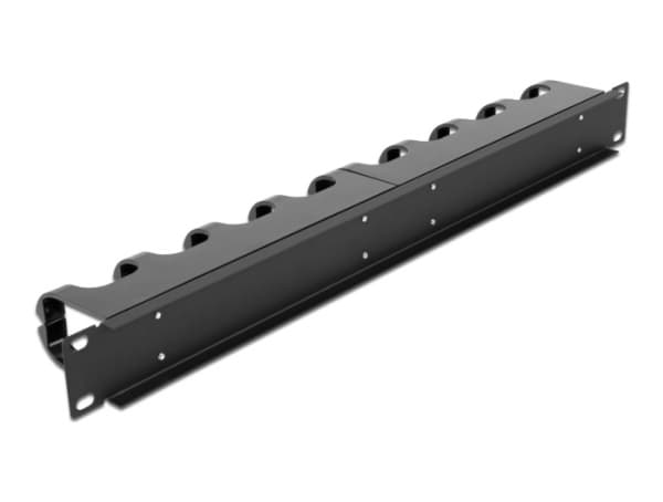 Delock - Rack cable management routing panel - with 10 closed cable routings - svart - 1U - 19"