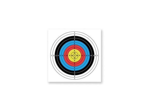 Target Insportline Dabbak 60X60cm 10Stk