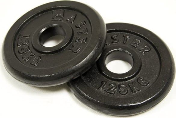 Master Vikter Gjutjärnsplattor MASTER 1,25 kg x2