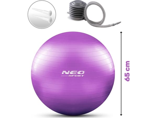 Neo-Sport Harjoituspallo 65 cm NS-951 violetti