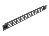 Delock - Rackpanel - med ventlasjonsspor - svart - 1U - 19"