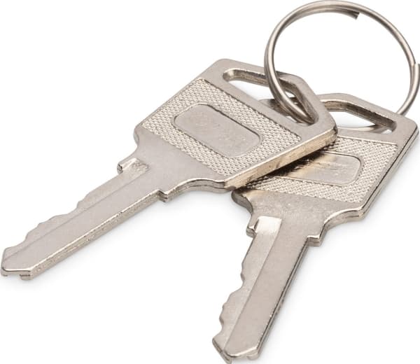 Digitus DN-45000-KEY, Lukitusavain, Hopea, Kiina, 2 mm, 45 mm, 20 mm