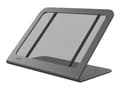 Miniatyrbilde 1 av 5: Heckler WindFall - Stativ - for nettbrett - låsbar - stål - gråsvart - skrivebord - for Apple iPad Wi-Fi