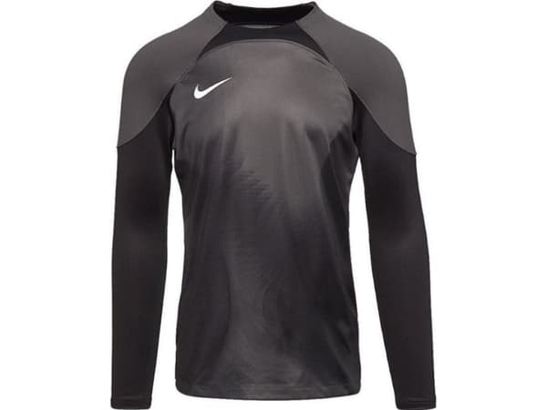 Nike Bluza Nike Gardien IV Goalkeeper JSY DH7967 060