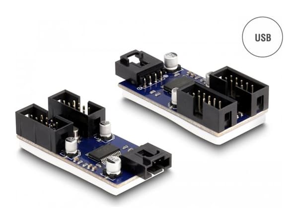 Delock - USB-adapter - USB 2.0 x 2 Svart, Blå