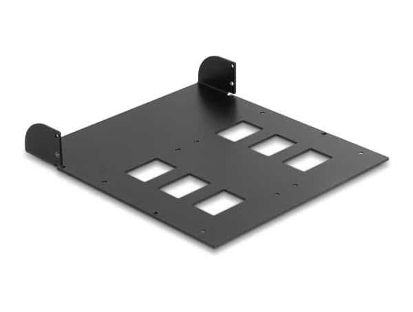 Delock - Adapter för lagringsfack - 5,25 till 2 x 2,5 tum - svart - för P/N: 47005, 47011