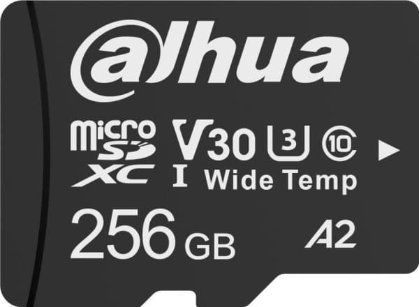 Minnekort 256GB DAHUA TF-W100-256GB