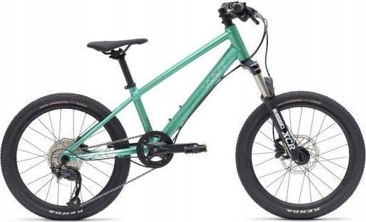 Vaast Y/1 MOUNTIAN 20, GLOSS TEAL