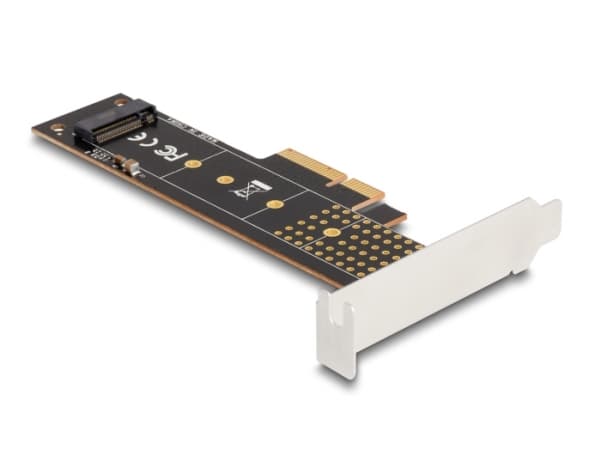 Delock - Lagringskontroll - M.2 - M.2 NVMe-kort - lav profil - PCIe 4.0 x4
