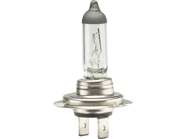 IWH 019355 halogen lyskilde H7 55 W 12 V