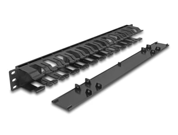 Delock - Rackpanel för kabelhantering - with 2 openings, plastic - svart - 1U - 19"