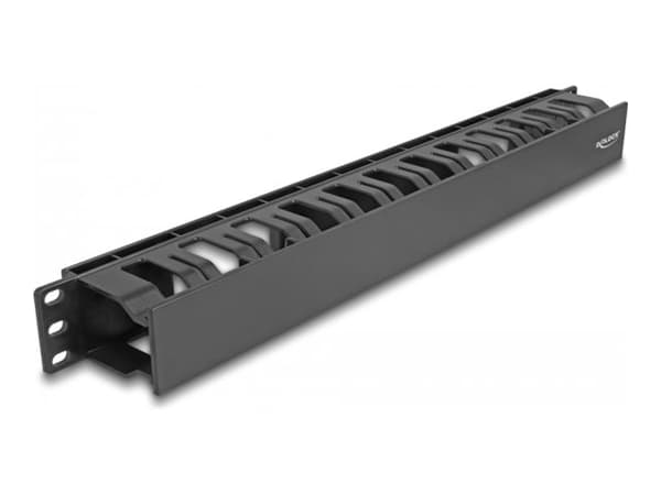 Delock - Rackpanel för kabelhantering - with 2 openings, plastic - svart - 1U - 19"
