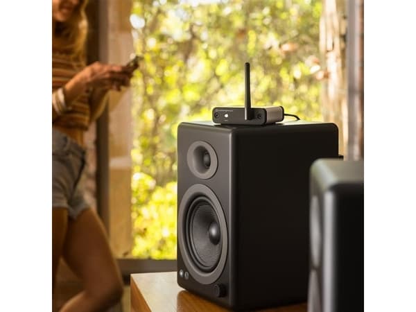 Streamer AudioEngine Audioengine B-FI Multi-room music streamer with Wi-Fi