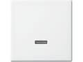 Miniatyrbilde 2 av 2: Busch-Jaeger 6543-914-102 dekkplate for sensorbrakett og base hvit (2CKA006599A3018)
