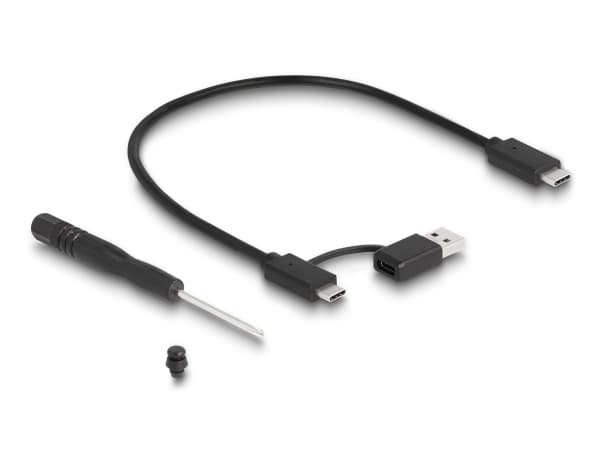 Delock - Drevkabinett - gaming, RGB LED illumination - M.2 - M.2 NVMe Card / PCIe (NVMe) - USB 3.2 (Gen 2x2) - grå