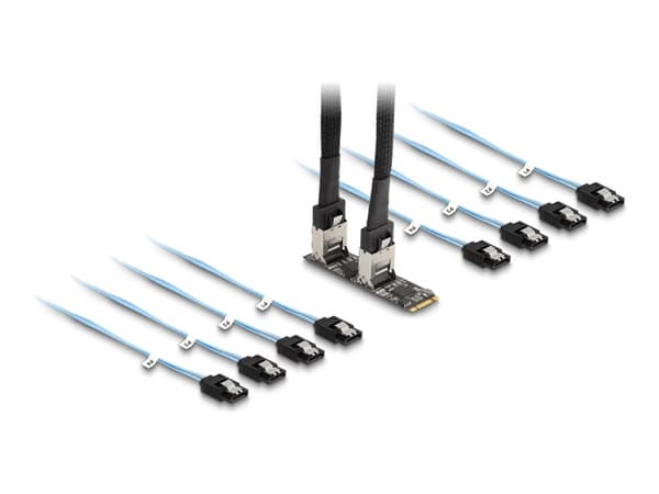 Delock - Gränssnittsadapter - M.2 2280 - PCIe - M.2 Card