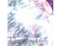 Miniatyrbild 2 av 3: Eurolite 5010160A, Spegel, Silver, 150 cm, 112 kg
