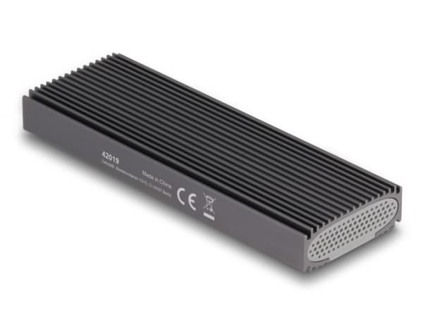 Delock - Drevkabinett - M.2 - M.2 Card (PCIe NVMe & SATA) / SATA SSD - USB-C 3.1 (Gen 2) - grå