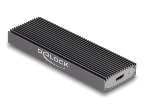 Delock - Drevkabinett - M.2 - M.2 Card (PCIe NVMe & SATA) / SATA SSD - USB-C 3.1 (Gen 2) - grå