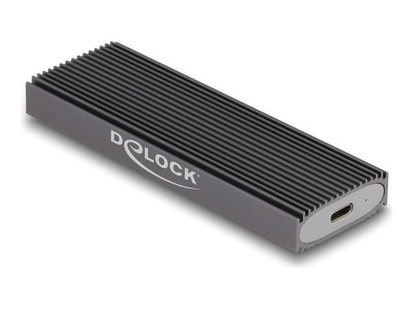 Delock - Drevkabinett - M.2 - M.2 Card (PCIe NVMe & SATA) / SATA SSD - USB-C 3.1 (Gen 2) - grå Grå