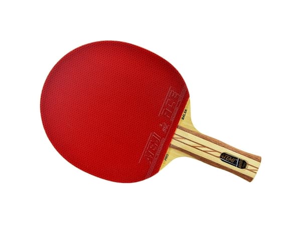PING Pong RACK ATEMI 4000 BALSA anatomisk