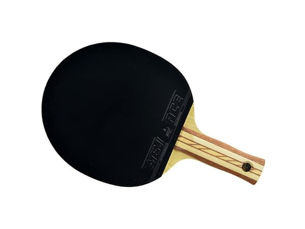 PING Pong RACK ATEMI 4000 BALSA anatomisk