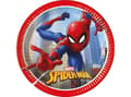 Miniatyrbild 1 av 2: Spiderman paptallerkner, 20 cm