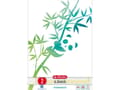 Miniatyrbilde 2 av 2: Herlitz GREENline, Bilde, Grønn, Hvit, A4, 50 ark, 70 g/m², Linjerte ark