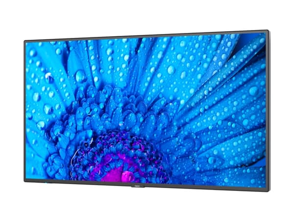 NEC MultiSync M981 - 98" Diagonalklasse M Series LED-bakgrunnsbelyst LCD-skjerm - intelligent skilting - 4K UHD (2160p) 3840 x 2160 - HDR - Direct LE