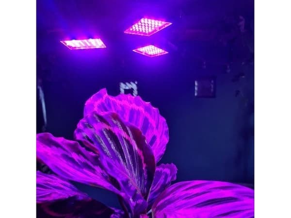 Gardlov 108 LED plantevekstlampe Gardlov 20440