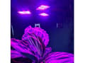 Miniatyrbilde 4 av 5: Gardlov 108 LED plantevekstlampe Gardlov 20440