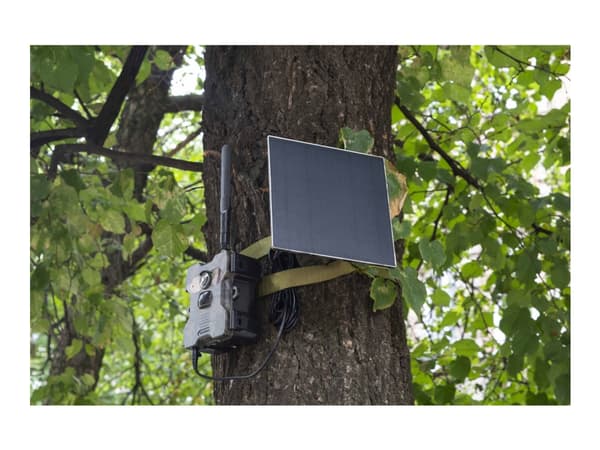 Technaxx 4987, Ulkona, Langallinen & langaton, Seinä, Musta, Vihreä, Laatikko, Pölynkestävä, Vesitiivis