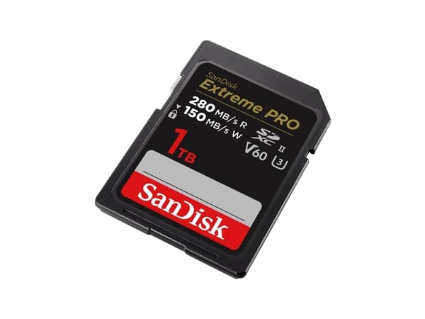 SanDisk SDSDXEP-1T00-GN4IN 1000GB SDXC Class 10 UHS-II 280MB/s 150MB/s