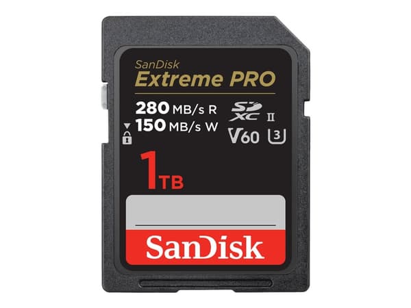 SanDisk SDSDXEP-1T00-GN4IN 1000GB SDXC Class 10 UHS-II 280MB/s 150MB/s