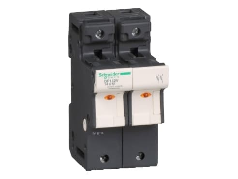 Schneider Electric DF14, 2P, 690 V, 8 kV, 690 V, 50 A, 960 °C
