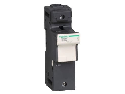 Schneider Electric DF22, 1P, 690 V, 8 kV, 690 V, 125 A, 960 °C