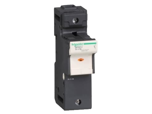 Schneider Electric DF22, 1P, 690 V, 8 kV, 690 V, 125 A, 960 °C