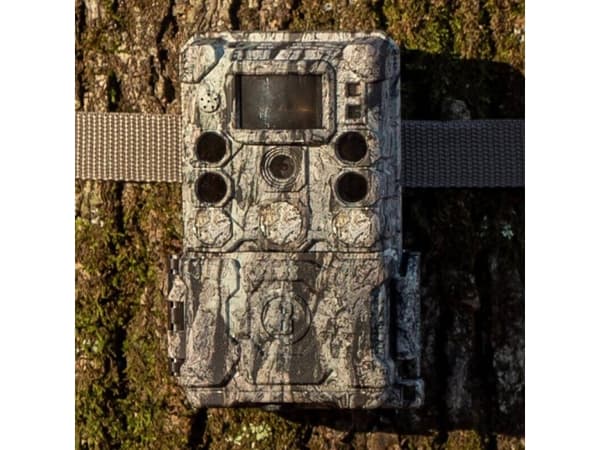 Bushnell 119949M, 30 MP, 3840 x 2160 pikseliä, 50°, 1280 x 720,1920 x 1080 pikseliä, 1920x1080@60fps, 3840x2160@30fps, 720p, 1080p
