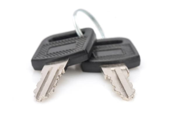 Digitus DN-KEY-WM, Låsenøkkel, Sort, Sølv, 2 stykker