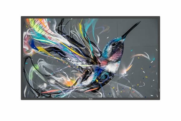 Philips 50BDL3650QE - 50" Diagonalklasse (49.5" synlig) - Q-Line LED-bakgrunnsbelyst LCD-skjerm - intelligent skilting - Android - 4K UHD (2160p) 384