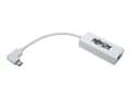 Pikkukuva 1 / 5: Tripp Lite U436-06N-GBW-RA, Valkoinen, Toiminta/Seikkailu, Teho, Kiina, CE, FCC, REACH, 0 - 45 °C, -10 - 70 °C